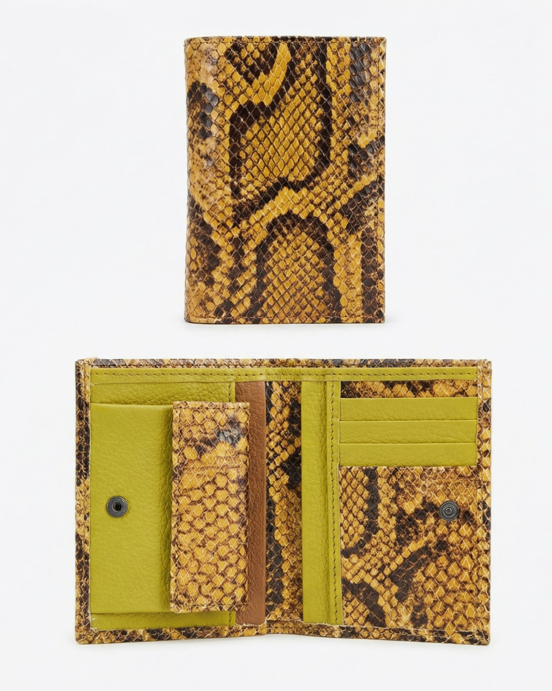 GRETA - AMBRA PITONE